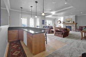 Kitchen with dishwasher, sink, hanging light fixtures, a breakfast bar area, and a fireplace