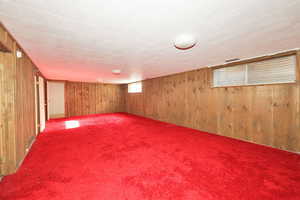 Basement with wood walls and carpet floors