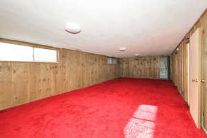 Basement with wooden walls