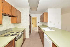 Kitchen with dishwasher, sink, and range with electric cooktop