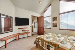 Carpeted bedroom featuring vaulted ceiling