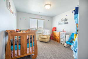 Bedroom featuring a textured ceiling and carpet floors