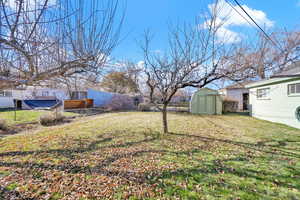 View of yard and 8x7 shed