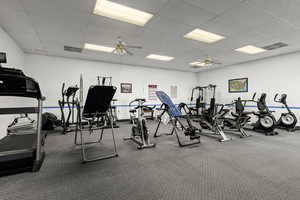 Gym with a drop ceiling, carpet floors, and ceiling fan