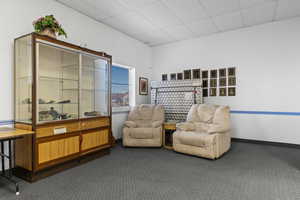 Sitting room with dark carpet and a drop ceiling