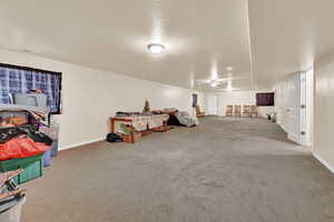 Recreation room with carpet and a textured ceiling