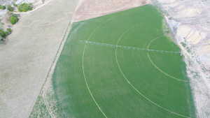 View of sport court