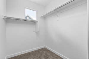 Walk in closet featuring carpet floors