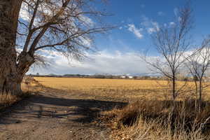 View of landscape featuring a rural view