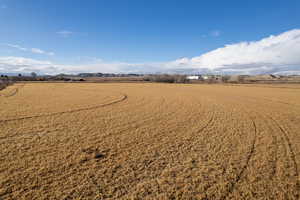 Aerial view featuring a rural view