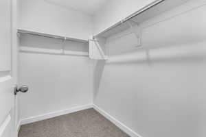 Spacious closet with carpet flooring