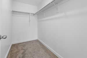 Spacious closet featuring carpet flooring