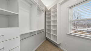 Master closet featuring carpet flooring