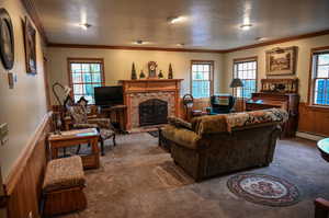 Carpeted living room with a baseboard heating unit, a brick fireplace, a wealth of natural light, and wooden walls