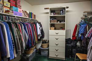 Spacious closet with carpet floors