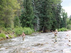 View of local wilderness