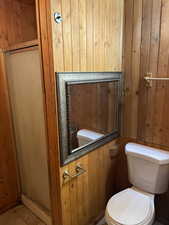 Bathroom with toilet and wooden walls