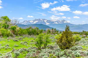 Property view of mountains