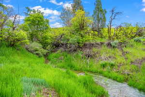 View of landscape