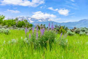 View of mountain feature