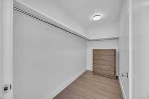 Spacious closet featuring light hardwood / wood-style flooring