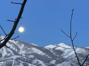 Property view of mountains