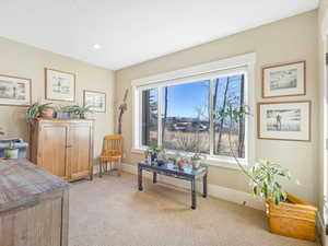 Sitting room featuring light carpet