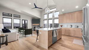 Kitchen featuring a stone fireplace, sink, an island with sink, light brown cabinetry, and stainless steel appliances