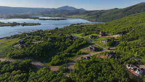 Aerial view of property's location featuring a water and mountain view and a forest