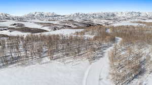 Property view of mountains