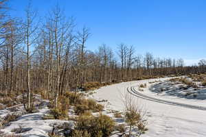 View of road with a view of trees