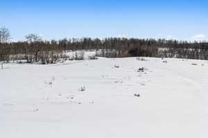 View of yard covered in snow