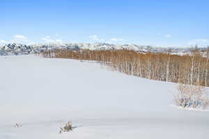 Yard layered in snow with a mountain view