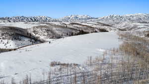 Property view of mountains