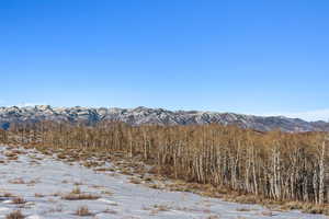 Property view of mountains