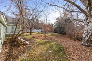 View of yard featuring a deck