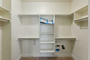 Spacious closet featuring carpet