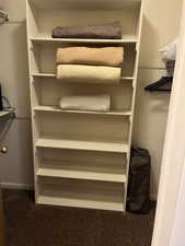 Walk in closet with carpet floors