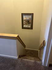 Stairs featuring carpet flooring