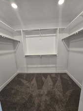 Walk in closet featuring carpet floors