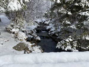 View of snow covered land