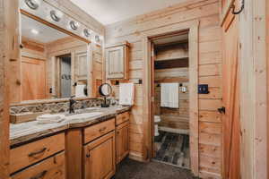 Bathroom featuring wood walls, vanity, and toilet