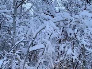 View of snow covered land