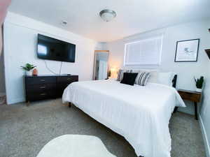 Downstairs King Bedroom, carpeted bedroom