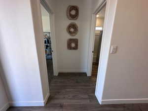 Corridor with dark wood-type flooring