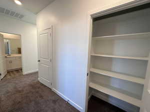 Closet featuring sink