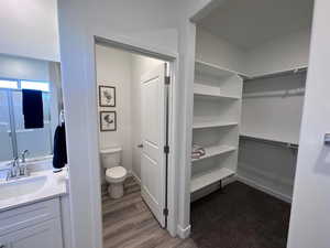 Bathroom featuring hardwood / wood-style floors, vanity, and toilet