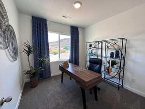 Carpeted home office with a mountain view and a textured ceiling