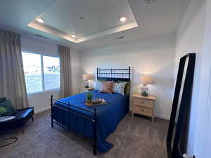 Carpeted bedroom featuring a tray ceiling