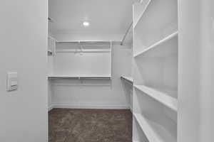 Spacious closet with dark carpet